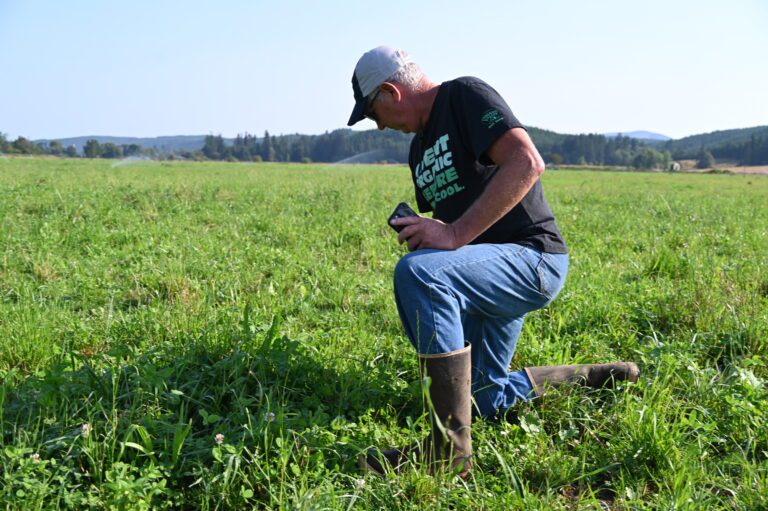 a person kneeling in a field.