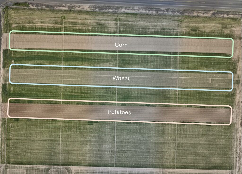 Picture1_withtext_2 Aerial image of Othello LTARE outlining the crop planting areas.