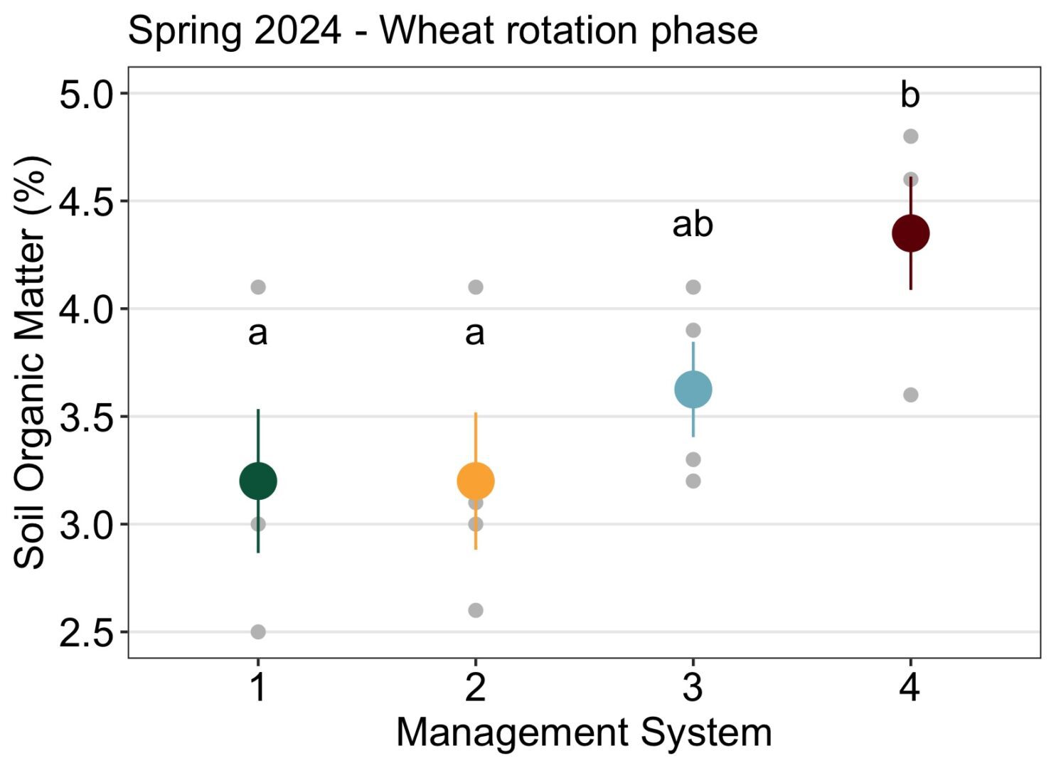 A scatter plot titled “Spring 2024 – Wheat rotation phase” showing soil organic matter percentages across four management systems. The y-axis is labeled “Soil Organic Matter (%)” ranging from 2.5% to 5.0%, and the x-axis is labeled “Management System” with categories 1 through 4. Management System 1: Green dot around 3.1%, labeled “a” Management System 2: Yellow dot around 3.1%, labeled “a” Management System 3: Light blue dot around 3.6%, labeled “ab” Management System 4: Dark red dot around 4.4%, labeled “b” Each dot has vertical error bars, and smaller gray points represent individual data values. The chart indicates higher soil organic matter in Management System 4 compared to others.