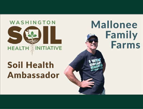 A promotional graphic for the Washington Soil Health Initiative featuring its logo with a plant and roots inside the word “SOIL.” The text on the left reads “Soil Health Ambassador,” and on the right, “Mallonee Family Farms.” In the center, a person stands with one hand on the hip, wearing a dark T-shirt with green and white text that says, “I went organic before it was cool,” along with a light-colored cap. The background is light with dark green borders at the top and bottom.