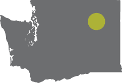 A grey map of Washington state with a green dot on Davenport, Washington.