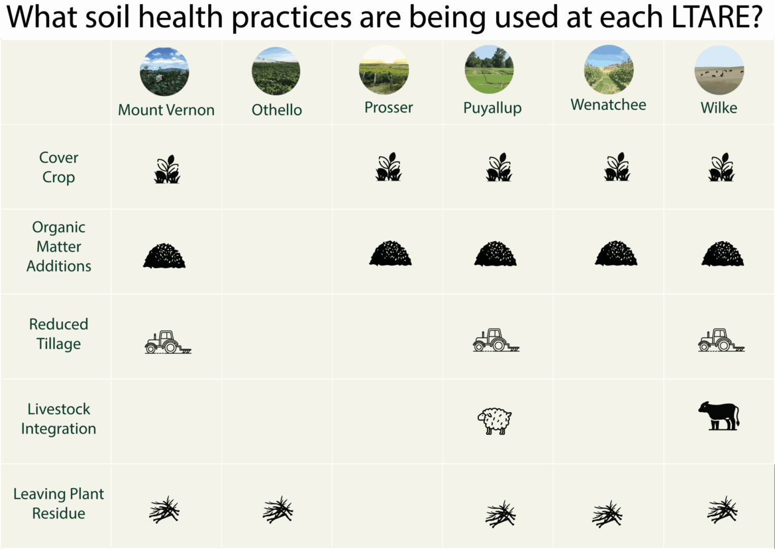 A chart titled “What soil health practices are being used at each LTARE?” showing six Long-Term Agroecological Research and Extension sites in Washington: Mount Vernon, Othello, Prosser, Puyallup, Wenatchee, and Wilke. Each column lists practices used at that site with icons representing: Cover Crop: Used at Mount Vernon, Prosser, Puyallup, Wenatchee, and Wilke Organic Matter Additions: Used at Mount Vernon, Prosser, Wenatchee, and Wilke Reduced Tillage: Used at Mount Vernon, Puyallup, and Wilke Livestock Integration: Used at Prosser and Wilke Leaving Plant Residue: Used at Othello, Puyallup, Wenatchee, and Wilke The chart uses plant, soil, tractor, sheep, and cow icons to illustrate each practice. Circular photos of fields appear at the top of each column.