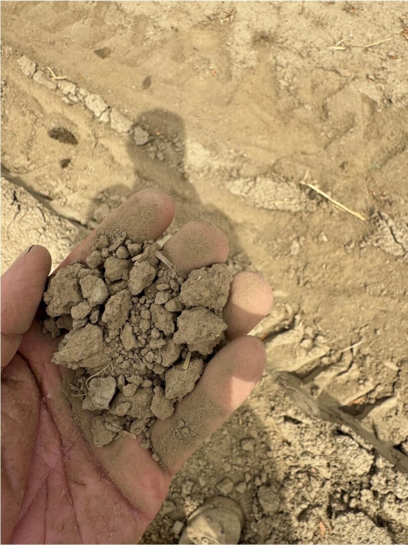 A close-up of a hand holding dry, clumpy soil in an outdoor setting. The soil consists of light brown aggregates and fine particles, indicating a dry condition. The background shows cracked, bare ground with a similar texture, suggesting an arid or drought-affected field. Shadows are visible on the soil surface, and the lighting indicates bright sunlight.