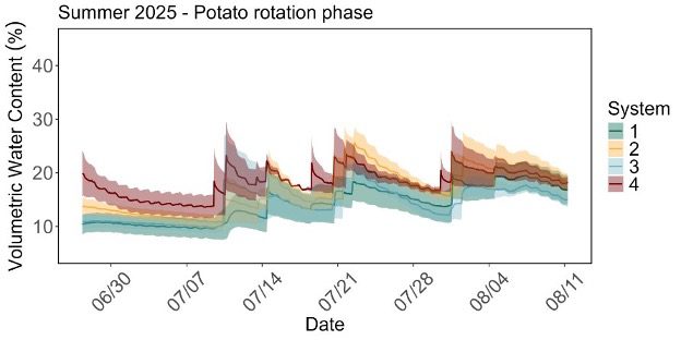A line graph titled “Summer 2025 – Potato rotation phase” showing volumetric water content (%) over time for four management systems. The x-axis is labeled Date with tick marks from June 30 to August 11, and the y-axis is labeled Volumetric Water Content (%) ranging from 0 to 40%. Four colored lines represent systems: System 1 (teal) System 2 (yellow) System 3 (blue) System 4 (red) Each line shows fluctuations with sharp peaks around July 14, July 21, July 28, and August 4, indicating irrigation or rainfall events. System 4 consistently has the highest water content, peaking near 35%, while System 1 remains lowest, around 10–20%. Shaded areas around each line indicate variability or confidence intervals.
