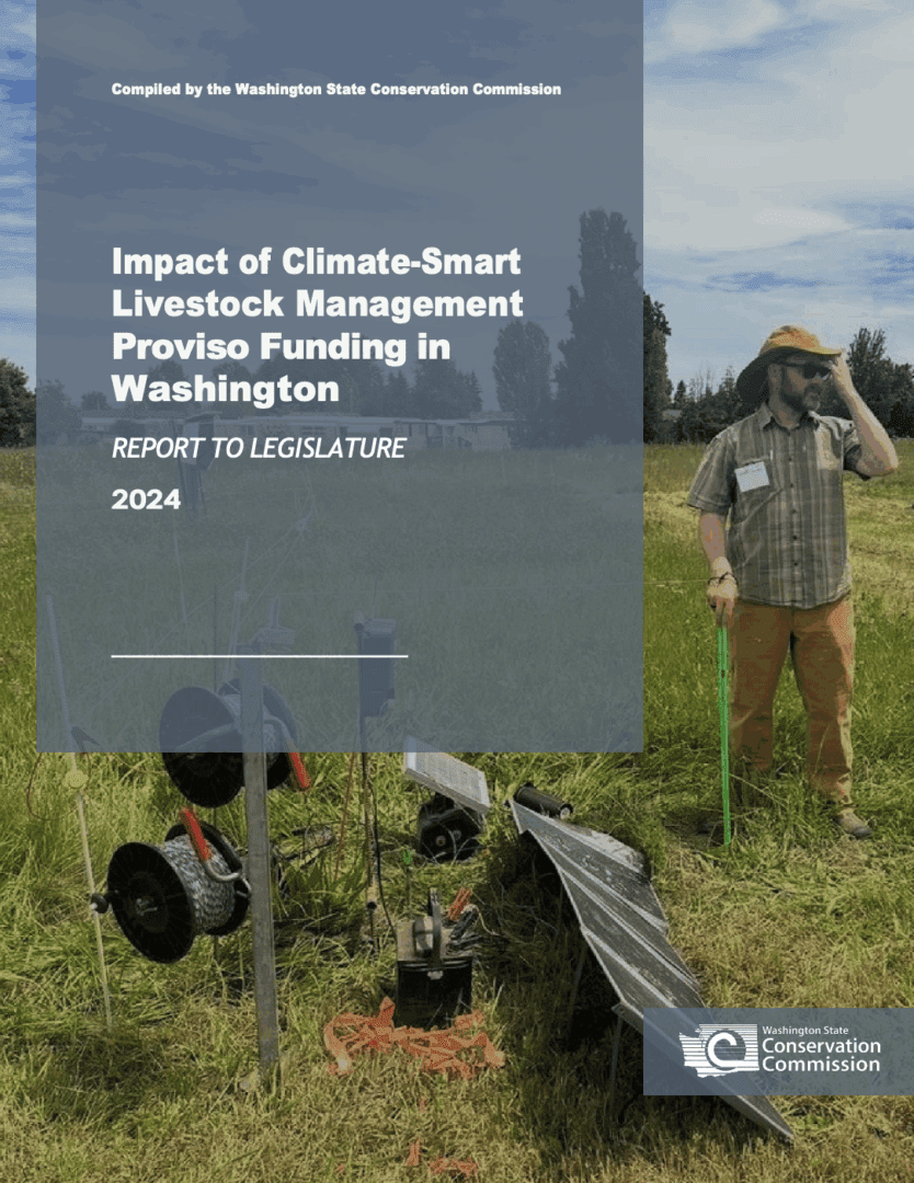 Cover page of a report titled “Impact of Climate-Smart Livestock Management Proviso Funding in Washington – Report to Legislature 2024” compiled by the Washington State Conservation Commission. The image shows a grassy field with solar panels, fencing equipment, and orange ropes in the foreground. A person stands to the right wearing a plaid shirt, tan pants, and a wide-brimmed hat, holding a green post. Trees and vegetation are visible in the background under a clear sky. The Washington State Conservation Commission logo appears in the bottom right corner.