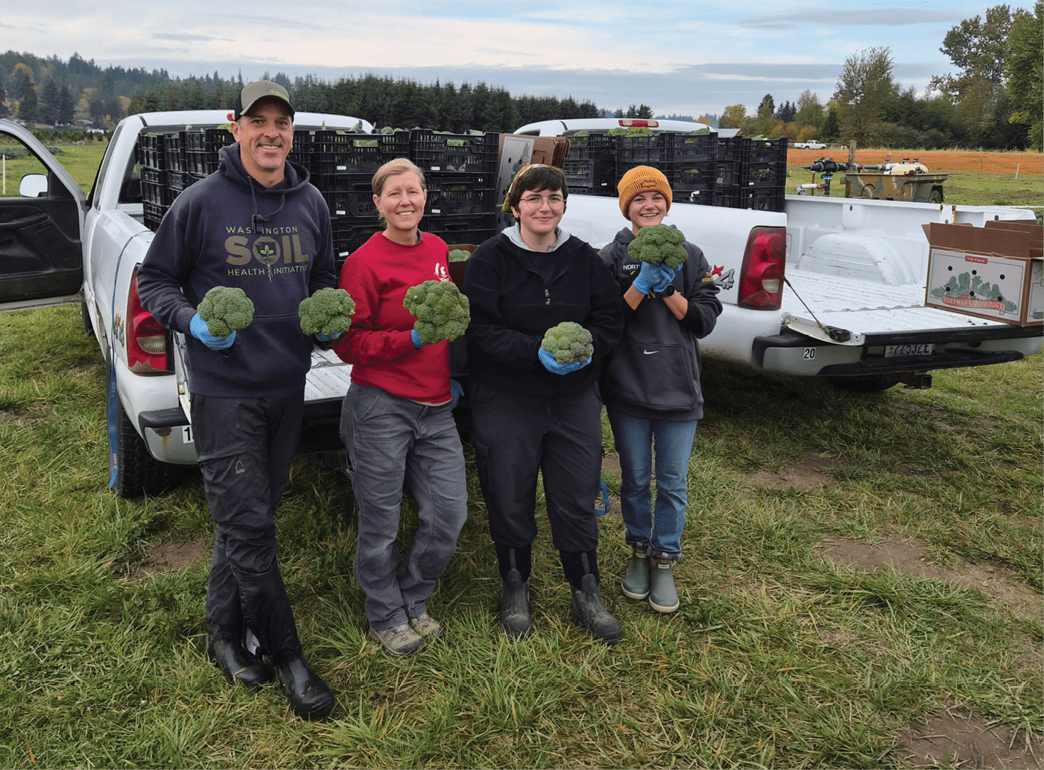 Four people stand in front of two white pickup trucks in a grassy field, each holding large heads of freshly harvested broccoli. The trucks have open tailgates loaded with black crates and a cardboard box with vegetable illustrations. The background shows rows of crops, scattered trees, and a cloudy sky, suggesting a farm or research site during harvest.