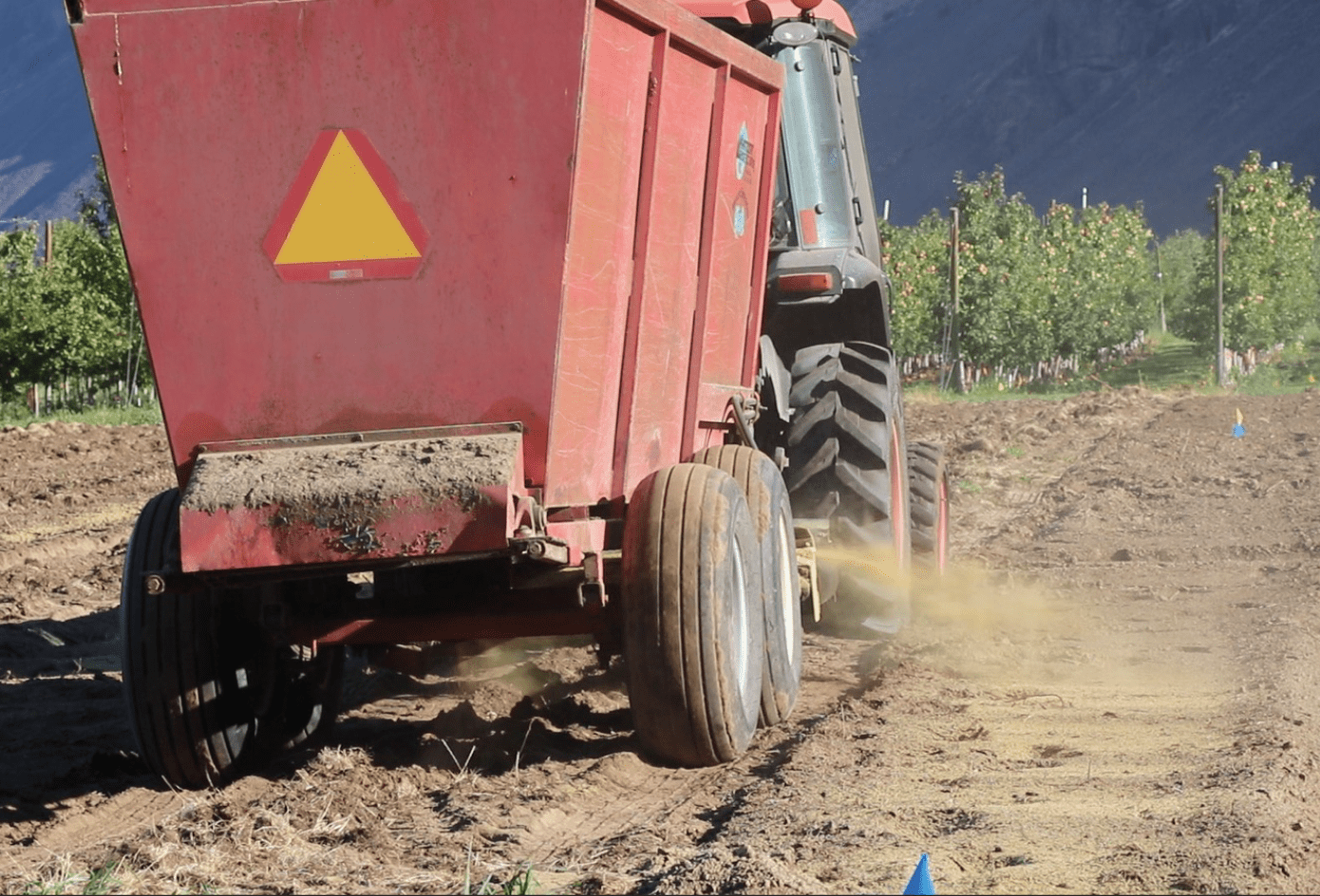 A red agricultural spreader attached to a tractor moves along a bare soil row in an orchard. The spreader has a large triangular reflective sign on the back and is releasing a light stream of material, creating a dusty effect on the ground. The orchard rows with green trees are visible to the left and in the background, while blue marker flags line the soil in the foreground. Behind the orchard, steep, rocky hills rise under clear skies, indicating a semi-arid landscape.