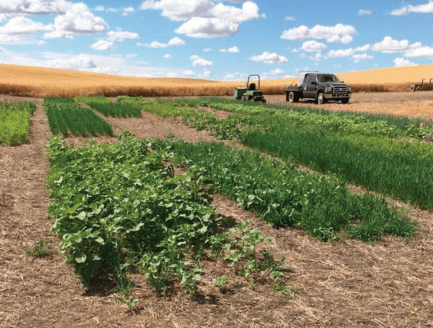 Please generate alt text for this image.