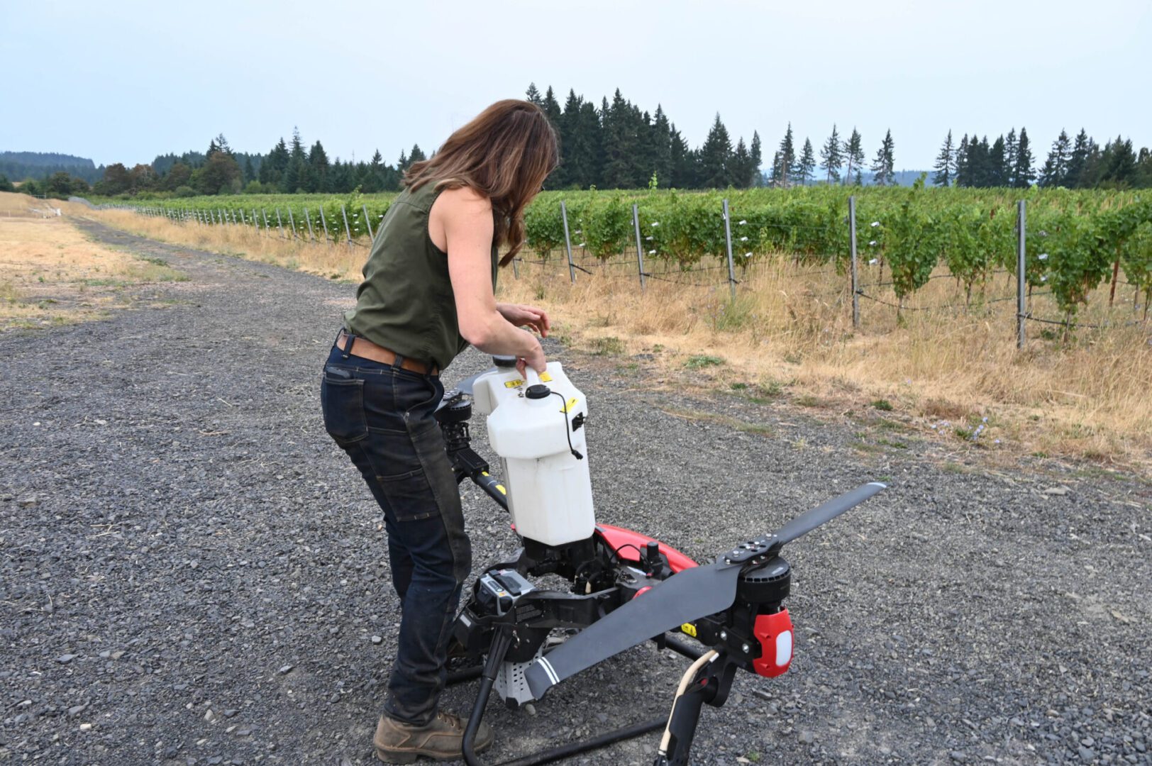 A person refills a large agricultural drone with liquid while standing on a gravel path next to a vineyard, with rows of grapevines and tall evergreen trees in the background.