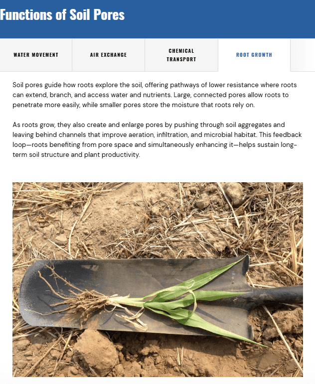 Page titled ‘Functions of Soil Pores,’ with tabs for Water Movement, Air Exchange, Chemical Transport, and Root Growth. Below the text describing how roots create and enlarge soil pores, a photo shows a small plant with roots attached resting on a dark metal shovel blade lying on dry, loose soil and crop residue.