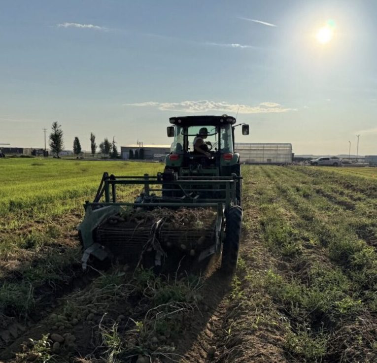 Othello_Tractor2-2-scaled-e1767212811395-768x885