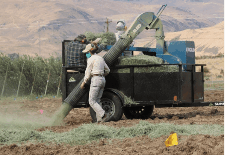 wenatcheeFigure1-768x523