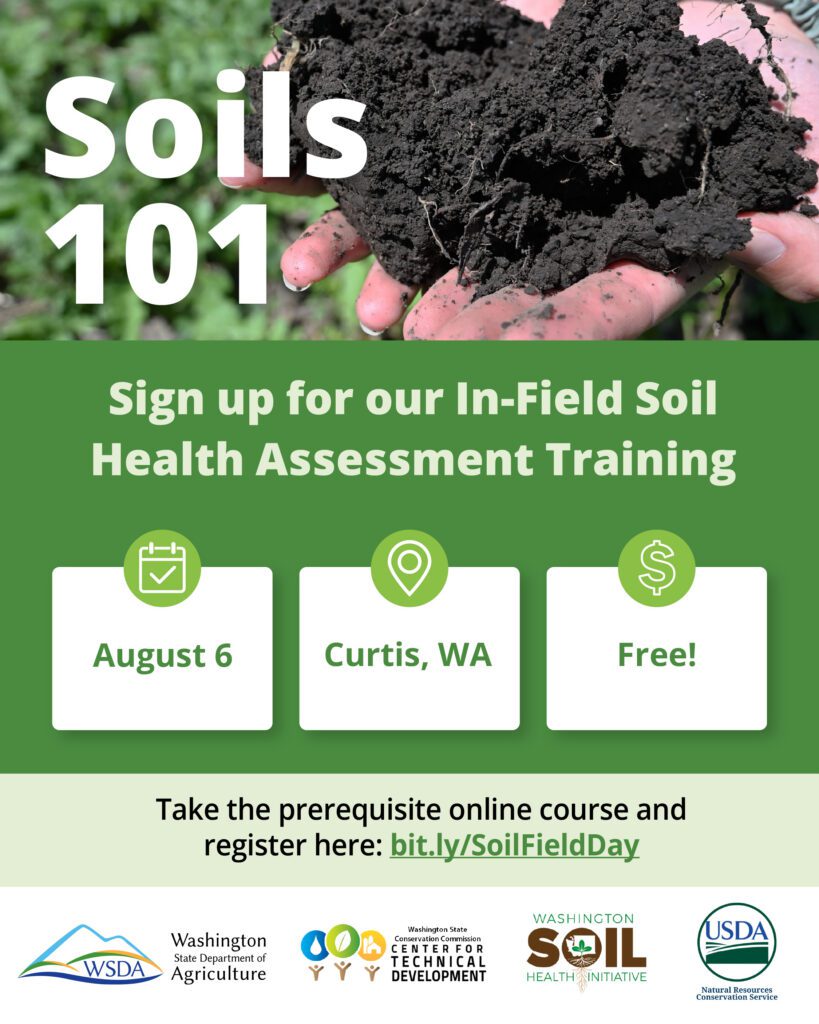 Promotional graphic for a soil health training. At the top, close-up of hands holding dark, crumbly soil with roots visible. Large white text reads “Soils 101.” Below, a green banner says “Sign up for our In-Field Soil Health Assessment Training.” Three icons with details appear: a calendar icon with “August 6,” a location pin with “Curtis, WA,” and a dollar sign with “Free!” Further text reads: “Take the prerequisite online course and register here: bit.ly/SoilFieldDay.” Along the bottom are logos for the Washington State Department of Agriculture, Washington State Conservation Commission Center for Technical Development, Washington Soil Health Initiative, and USDA Natural Resources Conservation Service.