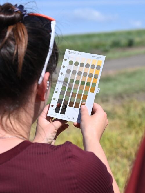 This image shows a person outdoors examining a soil color chart (specifically a Munsell soil color chart) in what appears to be a grassy or agricultural field.
