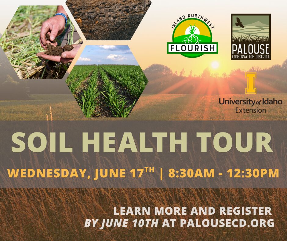 Flyer for a “Soil Health Tour” set on a sunlit field with warm golden tones. Three hexagon images show hands holding soil, dry cracked soil, and rows of green crops. Logos for Inland Northwest Flourish, Palouse Conservation District, and University of Idaho Extension appear at the top right. Large central text reads “SOIL HEALTH TOUR.” Event details: Wednesday, June 17th, 8:30 AM–12:30 PM. Bottom text states: “Learn more and register by June 10th at palousecd.org.” Earthy greens, browns, and golds emphasize agriculture and soil health.