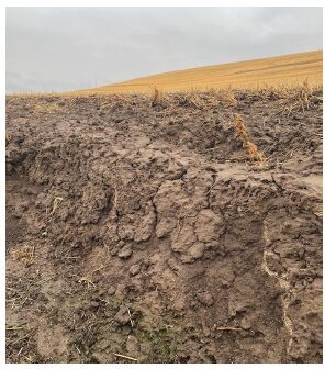 IntroSoil