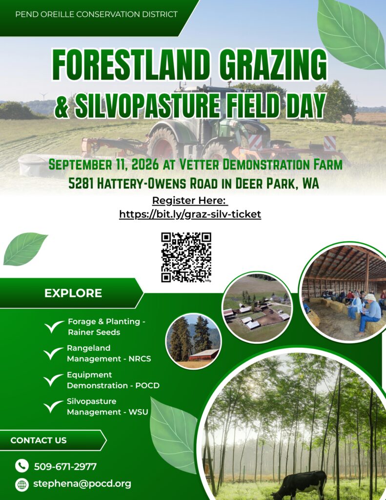 Flyer for a Forestland Grazing & Silvopasture Field Day hosted by the Pend Oreille Conservation District. The design uses green and white colors with decorative leaf graphics and a faded background photo of a tractor mowing a field. Large headline reads: “FORESTLAND GRAZING & SILVOPASTURE FIELD DAY.” Event details state: September 11, 2026, at Vetter Demonstration Farm, 5281 Hattery-Owens Road, Deer Park, WA. Registration information includes the link https://bit.ly/graz-silv-ticket and a QR code. A section labeled “Explore” lists topics: Forage & Planting – Rainer Seeds Rangeland Management – NRCS Equipment Demonstration – POCD Silvopasture Management – WSU Several circular photos show farm and silvopasture scenes, including an aerial view of a farm, a barn and trees, a group seated inside a barn, and a large image of cattle grazing among trees in a wooded pasture. A contact section at the bottom left lists 509-671-2977 and stephena@pocd.org. The overall flyer promotes an educational field day focused on grazing livestock in forested and silvopasture systems.