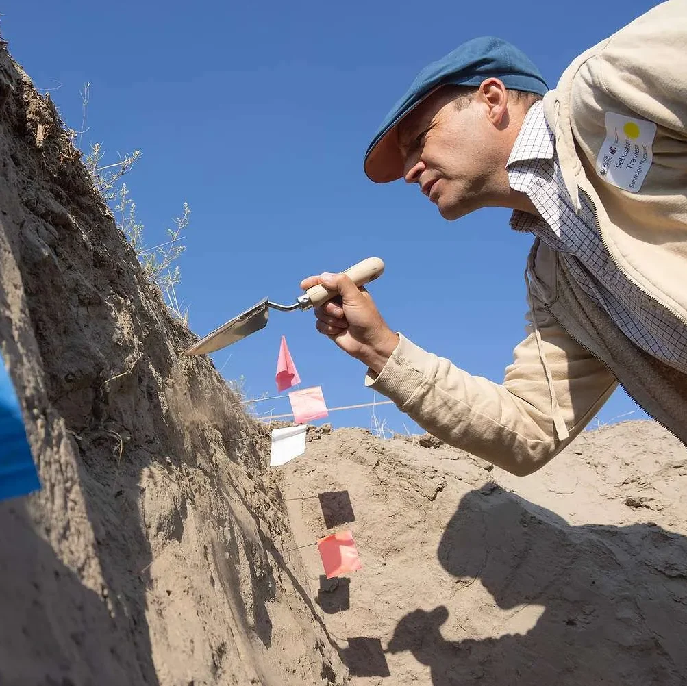 A researcher examines a vertical soil profile in an excavation pit, using a small trowel to scrape and inspect soil layers marked with colored flags under a clear blue sky.