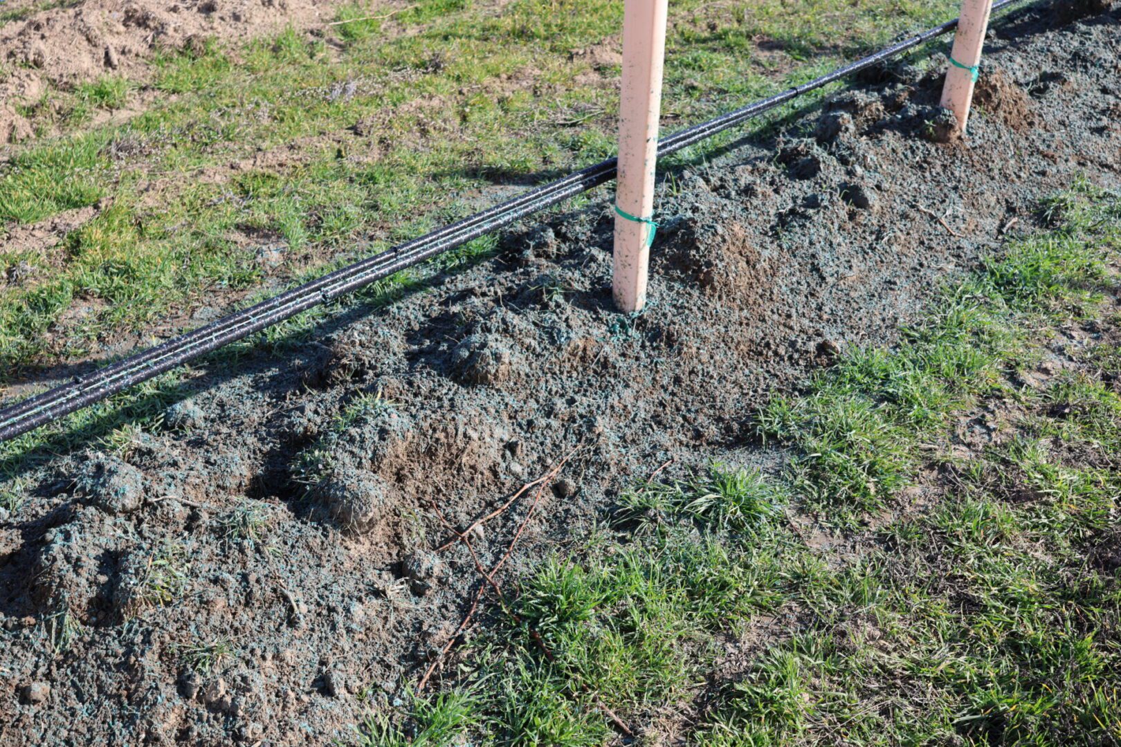 View down the center alley of a vineyard, with rows of grapevines growing on trellises on both sides. The ground is covered with dry grass and scattered plant debris, and black irrigation lines run along the vine rows. Wooden posts support the trellis system, creating a long perspective toward the horizon. The scene is brightly lit under a clear blue sky with minimal clouds.